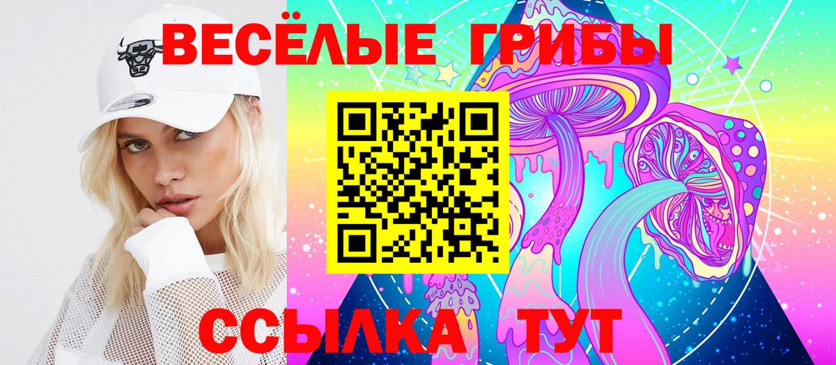 Галлюциногенные грибы Psilocybe Южноуральск