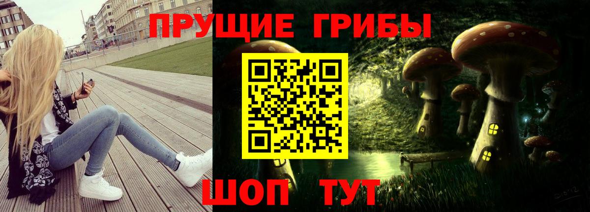 Южноуральск  Галлюциногенные грибы прущие грибы  Вход с VPN 